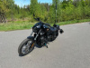 Harley-Davidson Nightster 975 S, 2025 г.