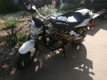 Aprilia Shiver, 2008 г.