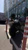 BMW S 1000r, 2019 г.