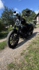 Harley-Davidson Sportster, 2022 г.