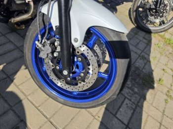 Suzuki SFV, 2010 г.