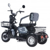 BMW GG Электротрицикл Terax APKI (SVITYAZ NS003, 2025 г.