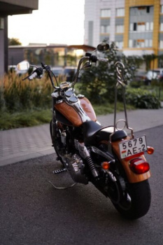 Harley-Davidson Dyna Low Rider, 2008 г.