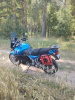 Triumph Tiger 955i, 2006 г.