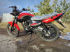 Racer RC 150-23 Tiger, 2025 г.