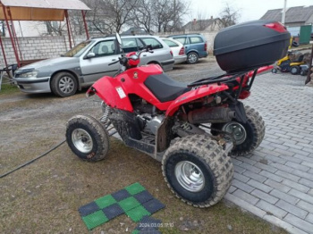 Access SP 300 RR, 2010 г.