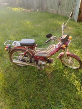 Альфамото Classic, 2010 г.