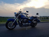 Kawasaki VN, 2008 г.