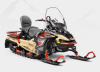 AODES (ODES) Snowcross 1000 WT песочный, 2024 г.