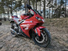 Motoland R1 300, 2026 г.