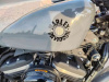 Harley-Davidson Sportster, 2021 г.