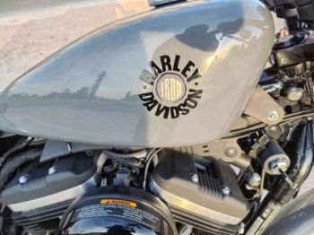 Harley-Davidson Sportster, 2021 г.