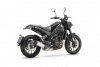 Benelli Leoncino 500, 2026 г.