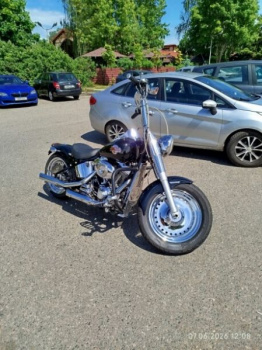 Harley-Davidson Fat Boy Custom, 2009 г.