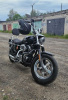 Harley-Davidson Sportster Custom 1200xl, 2015 г.