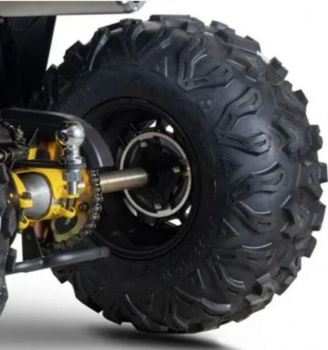 AVM Adventure 250, 2025 г.