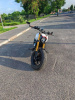 Indian Scout, 2020 г.