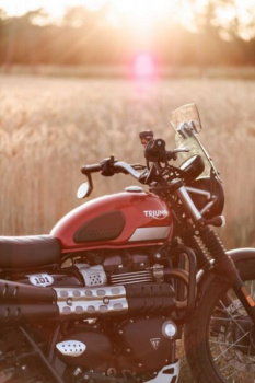 Triumph Scrambler, 2018 г.