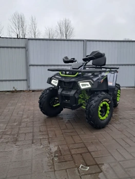 Утилитарный Motoland Wild Track  X 200, 2026 г.
