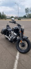 Indian Chief, 2022 г.