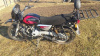 BAJAJ Boxer, 2019 г.