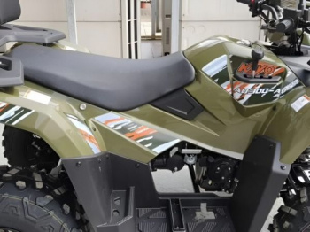 Kayo AU300 Carb, 2026 г.