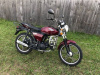 Racer Alpha RC50, 2026 г.