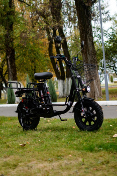  AVM E-ALFA Fat, 2026 г.