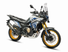 VOGE DS800 Rally, 2026 г.