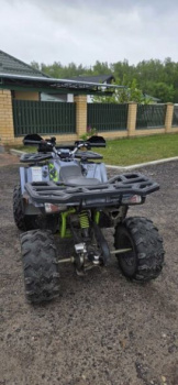 Motoland 200 Wild Track, 2024 г.
