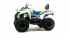 Motoland Shark Sport 200, 2026 г.