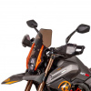 Regulmoto Cyclone NB 300, 2026 г.