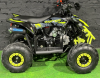 Motoland Raptor 110, 2026 г.