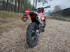 Regulmoto Holeshot Red Edition (4 valves), 2024 г.