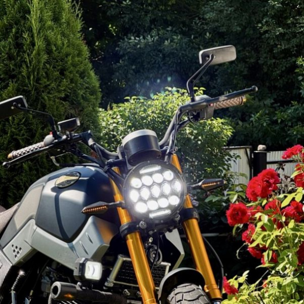 Shineray Sport 250 Cobra, 2025 г.