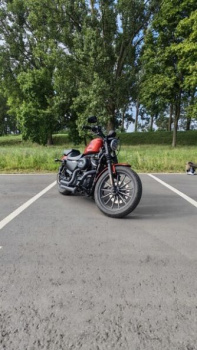 Harley-Davidson Sportster Iron, 2013 г.
