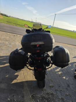 Suzuki DL 1000, 2003 г.