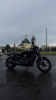 Harley-Davidson Street, 2019 г.