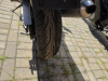 Honda CBR, 1999 г.