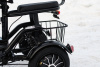  AVM DELTA TRIKE, 2026 г.