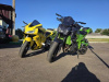 Kawasaki Z, 2017 г.