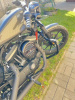 Harley-Davidson Sportster 883 iron, 2019 г.