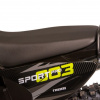 Regulmoto Sport 003 PR PRO 300, 2026 г.