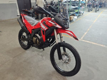 Loncin DS250 Rally, 2026 г.