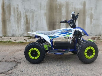 Motoland ATV E008 E010 1000W, 2024 г.