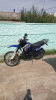 Racer Panther RC250 GY-C2, 2023 г.