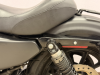 Harley-Davidson Sportster XL 1200NS (Iron 1200), 2021 г.