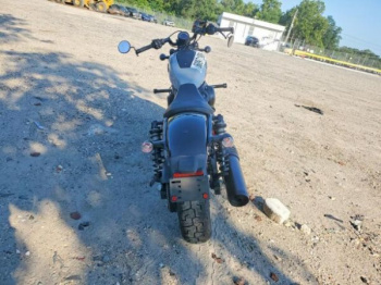 Harley-Davidson Street RH975, 2024 г.