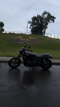 Harley-Davidson Street, 2019 г.