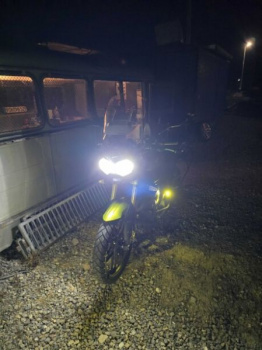 Triumph Tiger, 2011 г.